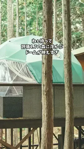 ホテル棲み限界OLのTikTok投稿
