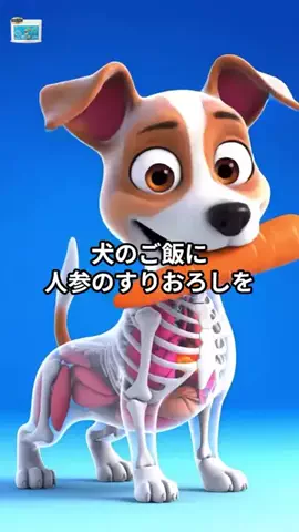 犬猫総合製薬株式会社のTikTok投稿