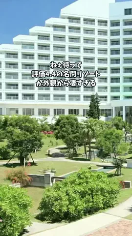 ホテル棲み限界OLのTikTok投稿