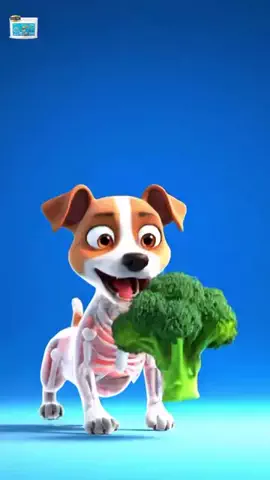 犬猫総合製薬株式会社のTikTok投稿