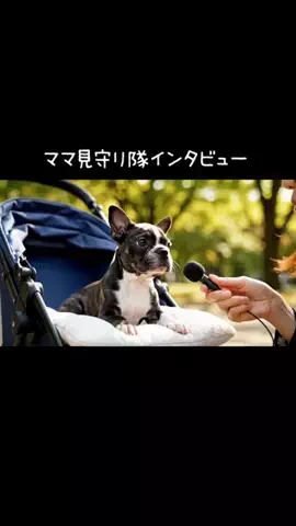 犬猫総合製薬株式会社のTikTok投稿