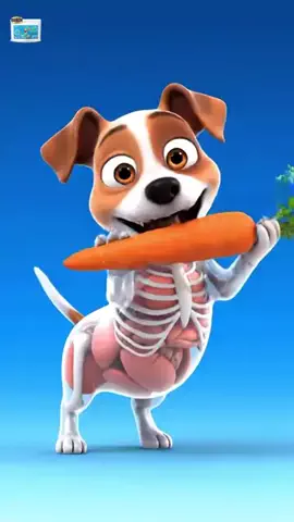 犬猫総合製薬株式会社のTikTok投稿