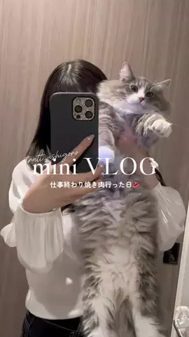 𝘮𝘢𝘶🐈‍⬛のTikTok投稿