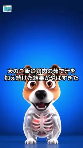 犬猫総合製薬株式会社のTikTok投稿