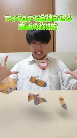 かめきち🤗(Kamekichi)のTikTok投稿