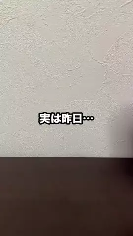 しょうた | Z世代が教えるiPhone活用術のTikTok投稿