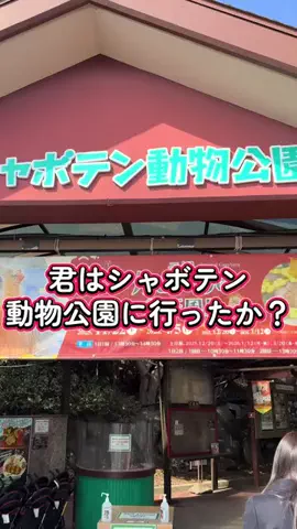 みずかげりんぶ(水影輪舞)のTikTok投稿