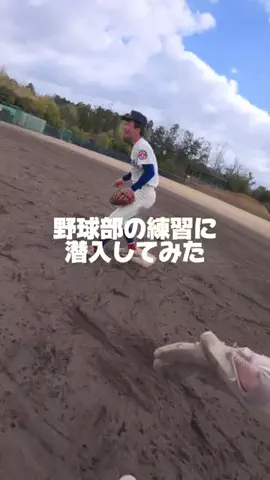 room.101のTikTok投稿