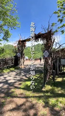 けんじ グルメマンのTikTok投稿