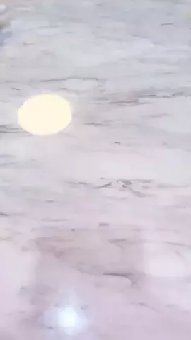 🥢おはし🥢のTikTok投稿