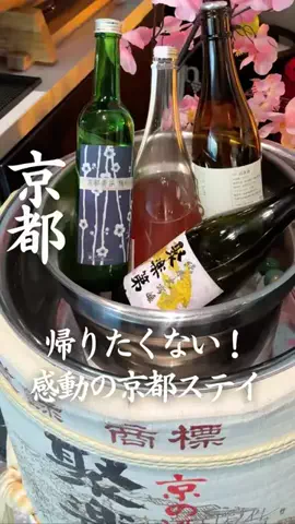 ごほうびホテル旅￤大阪発のTikTok投稿