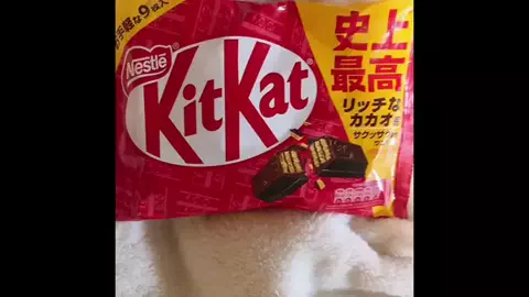 末長 澄華のTikTok投稿