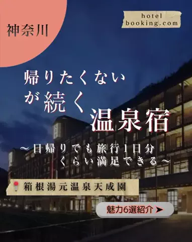 ちゃんたま/プチ贅沢ホテル旅✈️のTikTok投稿