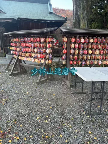 ポイけしき♨️宿図鑑のTikTok投稿