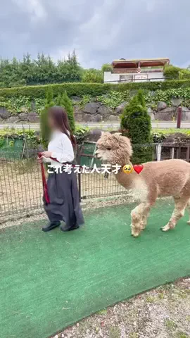 しおり｜女子向けおでかけ・旅行情報🎀のTikTok投稿