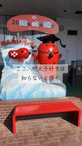 ちゃんたま/プチ贅沢ホテル旅✈️のTikTok投稿