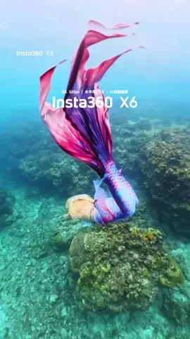 Ayane / 写真撮る人のTikTok投稿