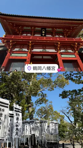 群馬発すー旅⌇旅と暮らしのTikTok投稿