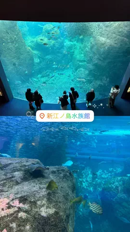 群馬発すー旅⌇旅と暮らしのTikTok投稿
