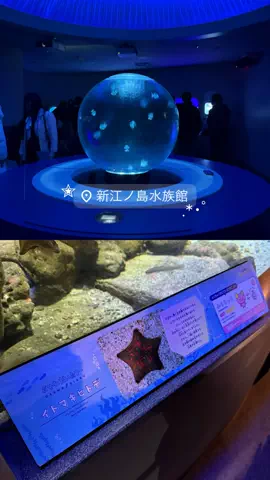 群馬発すー旅⌇旅と暮らしのTikTok投稿