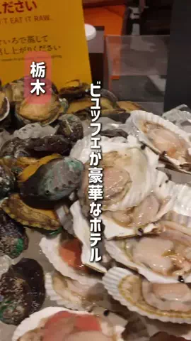 群馬発すー旅⌇旅と暮らしのTikTok投稿