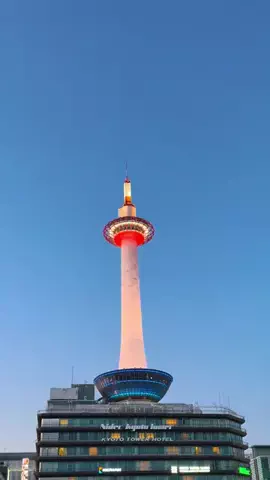 しがないOLの休日のTikTok投稿