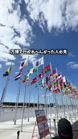 gorichan_osakaのTikTok投稿