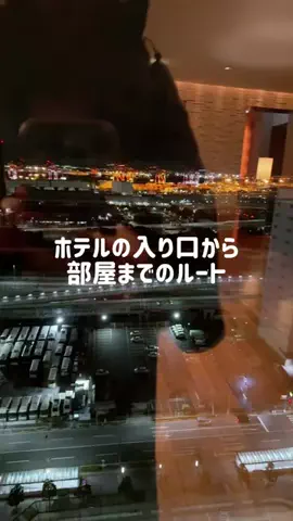 しがないOLの休日のTikTok投稿
