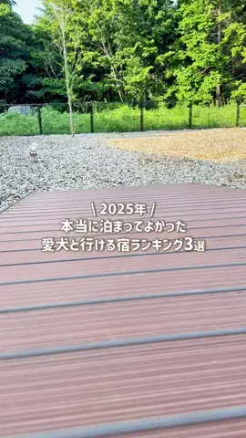 愛犬と行ける関東の宿のTikTok投稿