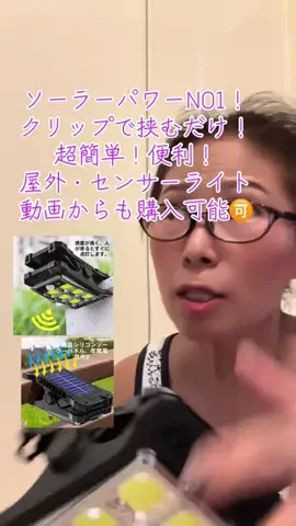 ちーちゃん🎀2匹のわんことハッピー人生のTikTok投稿