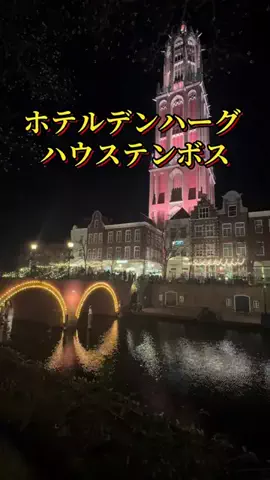 ホテル巡り大好き紅葉のTikTok投稿