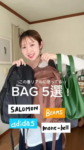 がんちゃんのTikTok投稿