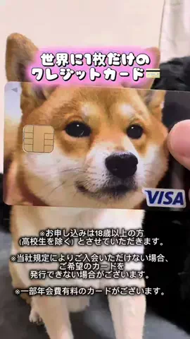 ムックパパ🔶🐾のTikTok投稿