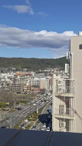ゴリラマイスター（旅）のTikTok投稿