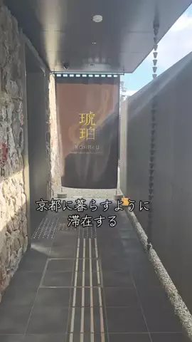 ゴリラマイスター（旅）のTikTok投稿