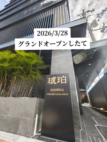 ゴリラマイスター（旅）のTikTok投稿