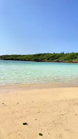 ぴか⌇美容好き限界ワーママのTikTok投稿