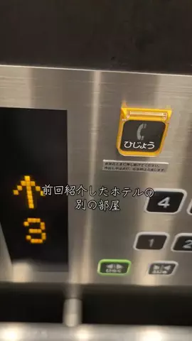 ゴリラマイスター（旅）のTikTok投稿
