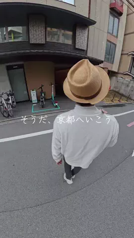 ゴリラマイスター（旅）のTikTok投稿