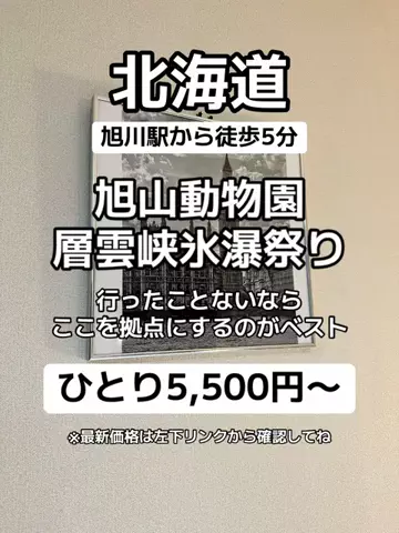 🌺なみひらりさ✈️🗺️｜絶景ホテル×コスパ旅のTikTok投稿