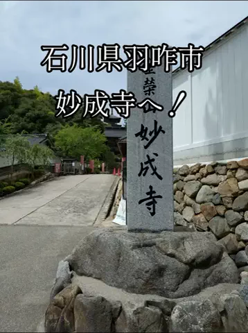 のぶ旅行トラベルのTikTok投稿
