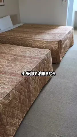 のぶ旅行トラベルのTikTok投稿