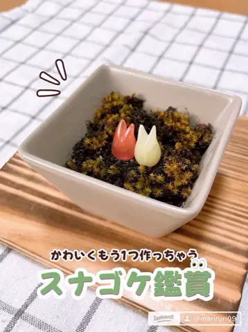 まりるりのTikTok投稿