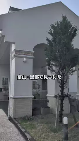 のぶ旅行トラベルのTikTok投稿