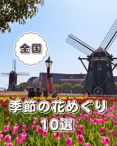 Trend Picks｜トレンドピックスのTikTok投稿