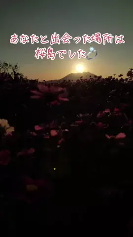 桜島の降灰ニキ🌋🕊🎥🐬⛩️📸のTikTok投稿