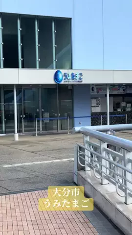 BIG HEADのTikTok投稿