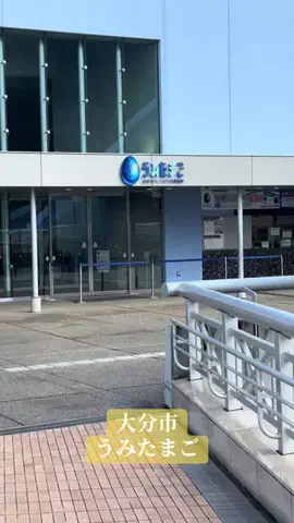 BIG HEADのTikTok投稿