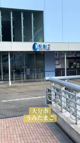 BIG HEADのTikTok投稿