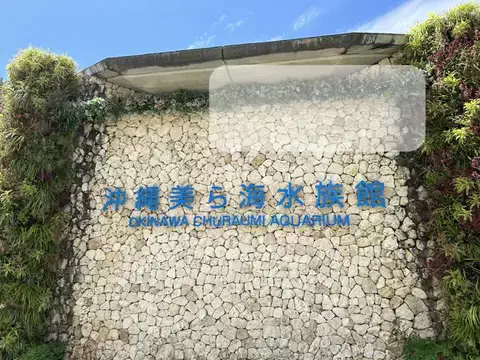animezuki_coupleのTikTok投稿